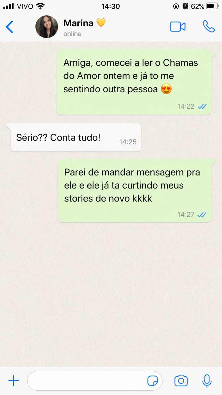 Print de conversa da Marina sobre Chamas do Amor